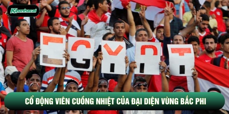 Cổ động viên cuồng nhiệt của đại diện vùng Bắc Phi Cổ động viên cuồng nhiệt của đại diện vùng Bắc Phi