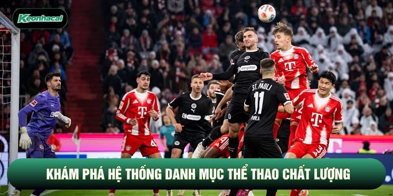 Khám phá hệ thống danh mục thể thao chất lượng
