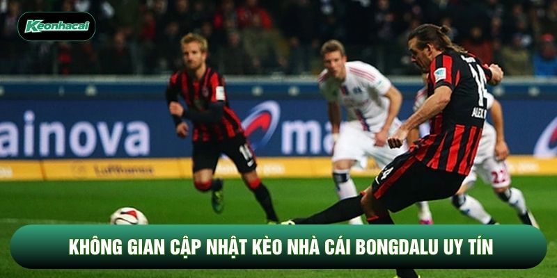 Không gian cập nhật kèo nhà cái bongdalu uy tín