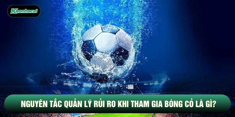 Nguyên tắc quản lý rủi ro khi tham gia bóng cỏ là gì? Nguyên tắc quản lý rủi ro khi tham gia bóng cỏ là gì?