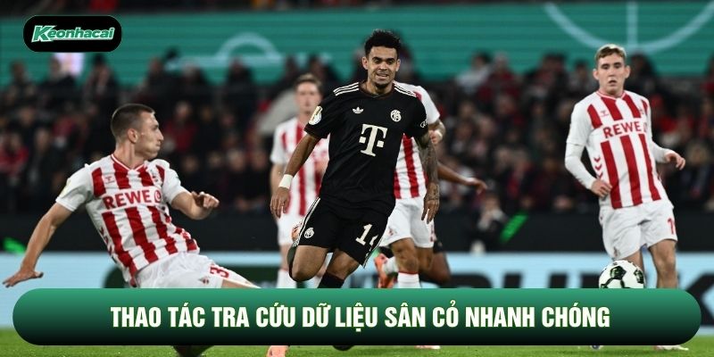 Thao tác tra cứu dữ liệu sân cỏ nhanh chóng